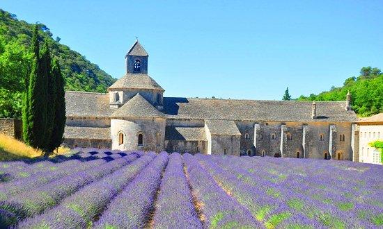 Abbaye Notre-Dame de Senanque